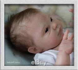 helens reborn baby dolls