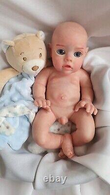10 Inch Full Soft Silicone Elf Reborn Baby Doll 28cm Winky