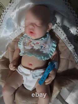 12? Reborn Baby Boy Doll 100% Full Body Silicone Lifelike Set Preemie with Gifts