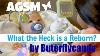 Agsm What The Heck Is A Reborn American Girl Doll Stop Motion Reborn Baby Dolls