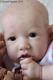 Amazing Reborn Saskia Brown Artful Babies Baby Girl Doll Iiora