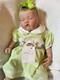 Amelia Asleep Stunning Reborn Baby Girl Professionally Weighted To 6.42 Lbs
