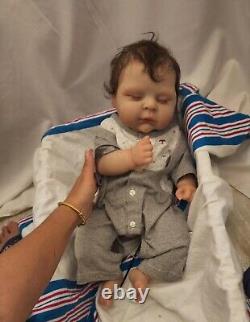 ARTIST Handmade 20 Reborn Baby Doll Realistic Newborn Soft Mohair Boy Girl GIFT