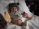 Awendys Babies A Beautiful Lifelike Reborn / Newborn Baby Boy Doll