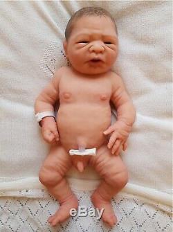 Absolutely Stunning Full Body Silicone Reborn Baby Boy Doll Josh By Linda Moore