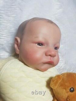 Adorable Newborn Reborn Baby Boy Levi Awake (Unbranded) Available Now! 