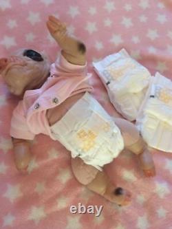 Adorable Reborn Baby Piglet Petal Such A Little Cutie