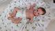 (alexandra's Babies) Reborn Baby Girl Doll Chloe By Natali Blick Ltd Ed
