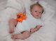 (alexandra's Babies) Reborn Baby Girl Doll Mary Ann By Natali Blick Ltd Ed