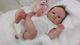 (alexandra's Babies) Reborn Baby Girl Doll Mary By Olga Auer Limited Edition
