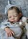 Alla's Babies Reborn Doll Baby Boy Tegan Sculpt Laura Lee Eagles Iiora