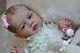 Alla's Babies Reborn Doll Baby Girl Mary Ann, Natali Blick, Iiora Sold Out L/e
