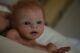 Amazing Authentic Silicone Baby Boy Danny By Maria Lynn Grover Privilege Reborn