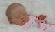 Baby Bears Nursery Jayne Heappey Reborn Baby Girl Doll Newborn Anita
