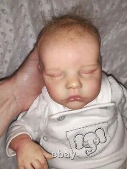 BARGAIN BUY! Twin B reborn baby doll combi hair with coa