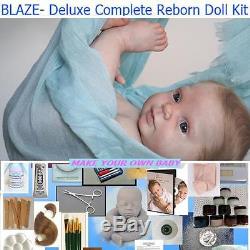 BLAZE, Complete STARTER KIT make a REBORN Baby DOLL, DVD, PAINT, MOHAIR, EYES