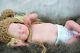 Baby Birdie By Laura Lee Eagles. Beautiful Reborn Doll With Coa