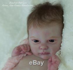 BamboleDelCuore Aurora Sky by Laura Lee Eagles Reborn Doll Baby Girl