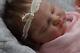 Beautiful New Sculpt Quinlyn Reborn Doll By Bonnie Brown & A Stoete With Coa