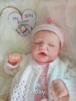 Beautiful Newborn Ruby with coa