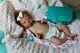 Beautiful! Realistic Reborn Baby Girl Luciano By Cassie Brace Therapy Doll
