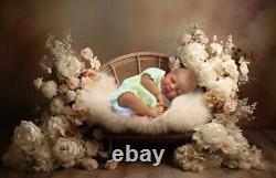 Beautiful ZENDRIC sold out limited edition reborn baby with COA and extras