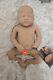 Blank Silicone Haven By Izzy Zhao No 8 First Edition. Reborn Doll Baby