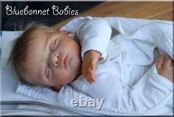 Bluebonnet Babies REBORN DollNewborn Baby Linus RARE SOLE Gudrun Legler