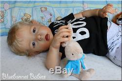 Bluebonnet Babies REBORN DollToddler Blonde Boy Liam by Bonnie Brown LE