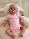 Bonnie Brown Le Doll Pixie Reborn Doll Sunshine Babies Nursery Preemie