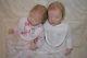 Bonnie Brown Twin A And B Reborn Baby Dolls Twins Boy And Girl