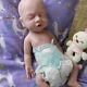 Cosdoll 14.9 In Platinum Silicone Reborn Baby Dolls Can Take A Pacifier Boy Doll
