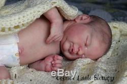 Cherie's Little BlessingsReborn DollBaby GirlNEWBORNAMERICUS