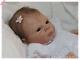 Custom Order For Reborn Sammie Adrie Stoete Baby Girl Or Boy Doll