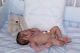 Dylan #6 Awake Full Bodied Silicone Reborn Doll/baby By Jo Birch