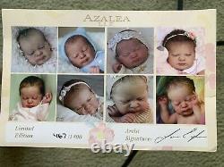 ETHNIC Reborn Baby BOY Doll AZALEA by LAURA LEE EAGLES- SOLD OUT LTD