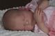Eden Reborn Nursery Presents Reborn Doll Baby Girl Bellami So Real