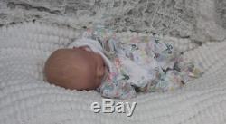 Eden Reborn Nursery Presents Reborn Doll Baby Girl Chase Bonnie Brown so Real