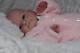 Eden Reborn Nursery Presents Reborn Doll Baby Girl Twin Olga Auer Mary So Real