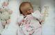Evie By Laura Lee Eagles Reborn Baby Girl Doll Beverleys Art Babies
