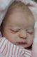Fiona Lester Stunning Reborn Baby Girl Doll Americus Laura Lee Eagles