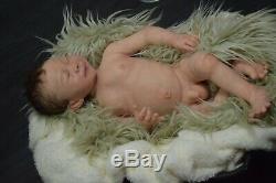 Full Body Soft Solid Silicone Baby doll/REBORN SILICONA fluidsinner sealed hair