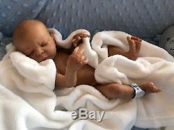 Full Vinyl Childrens Reborn Doll Real Baby Boy Albert Realistic 14 Painted Hair
