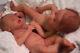 Full Body Silicone Reborn Baby Doll Anatomically Correct Twins Girls 18 Custom