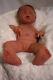 Full Body Silicone Reborn Baby Doll Anatomically Correct Girl 18 Custom Made