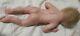 Full Body Silicone Reborn Baby Doll Anatomically Correct, She Is Made To Last