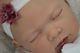 Gorgeous Reborn Bald Lotty Baby Girl Doll Nubornz Nursery Made To Order