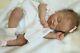 Gorgeous Reborn Baby Girl Doll Kami Rose By Laura Lee Eagles- Sold Out