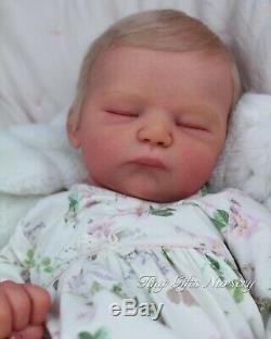 Gorgeous Chunky Reborn Baby Girl Doll Eloise By Maisa Said