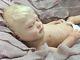Gorgeous Full Body Silicone Lifelike Ecoflex Reborn Baby Girl Doll Fb